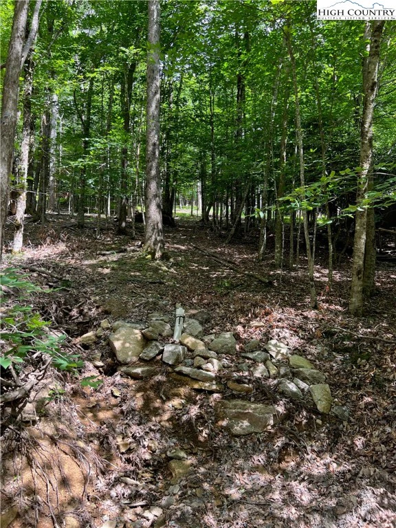 Image number 6 for the current listing