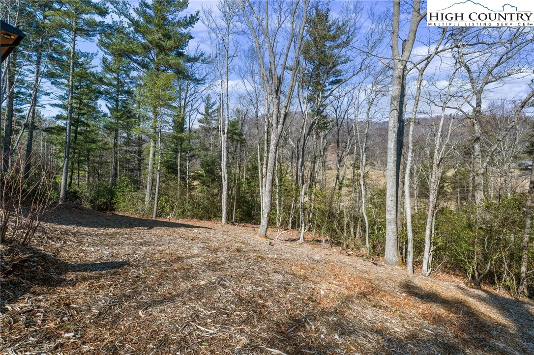 Image number 9 for the current listing