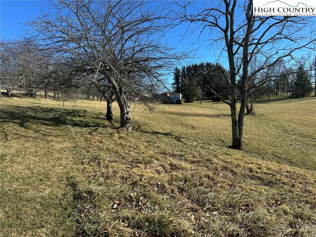 Image number 6 for the current listing