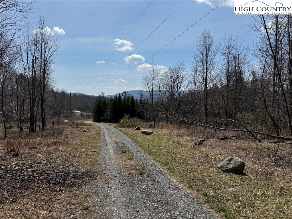 Image number 6 for the current listing
