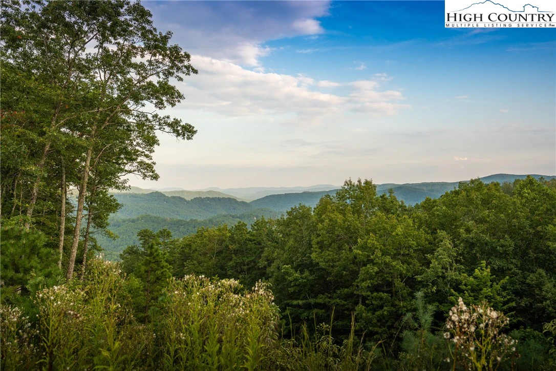 Image number 1 for the current listing