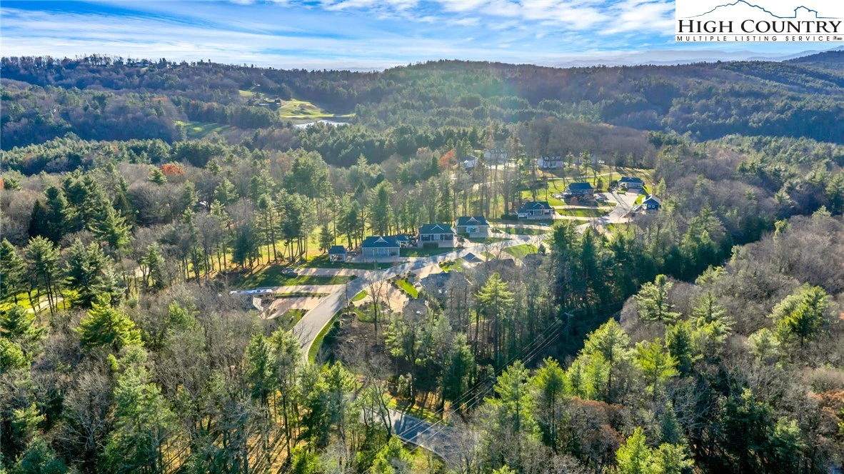 Image number 1 for the current listing