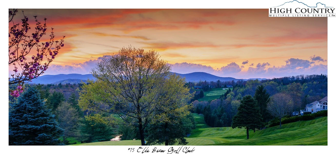 Image number 21 for the current listing