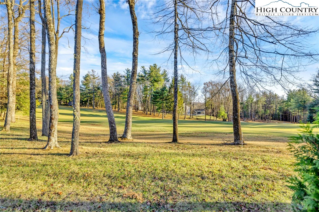 Image number 13 for the current listing