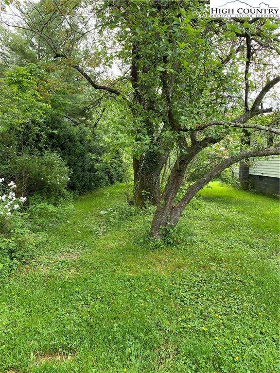 Image number 18 for the current listing
