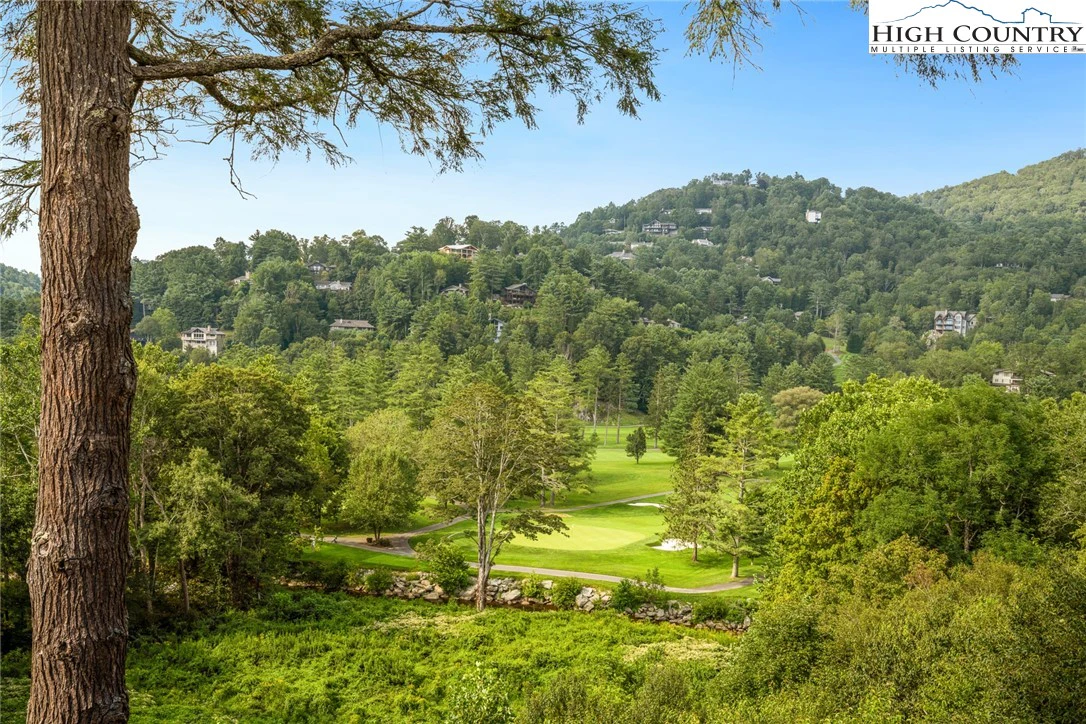 Image number 2 for the current listing