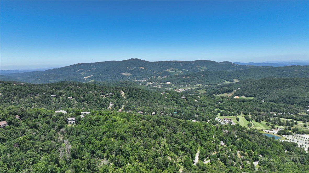 Image number 11 for the current listing