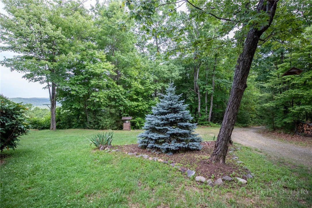 Image number 6 for the current listing