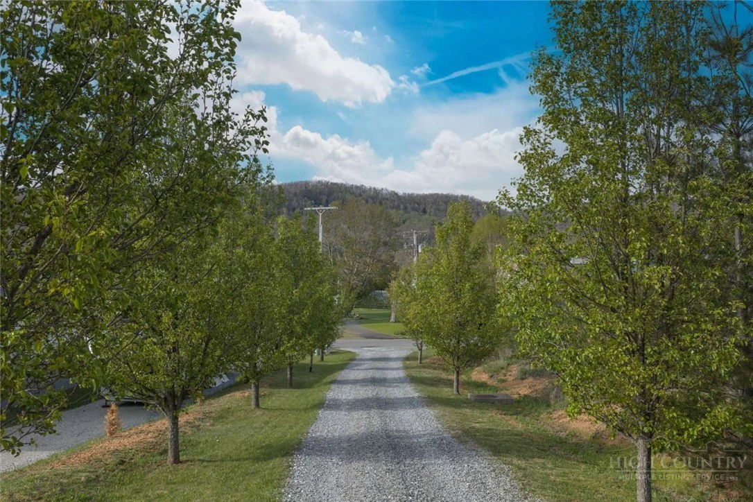 Image number 13 for the current listing