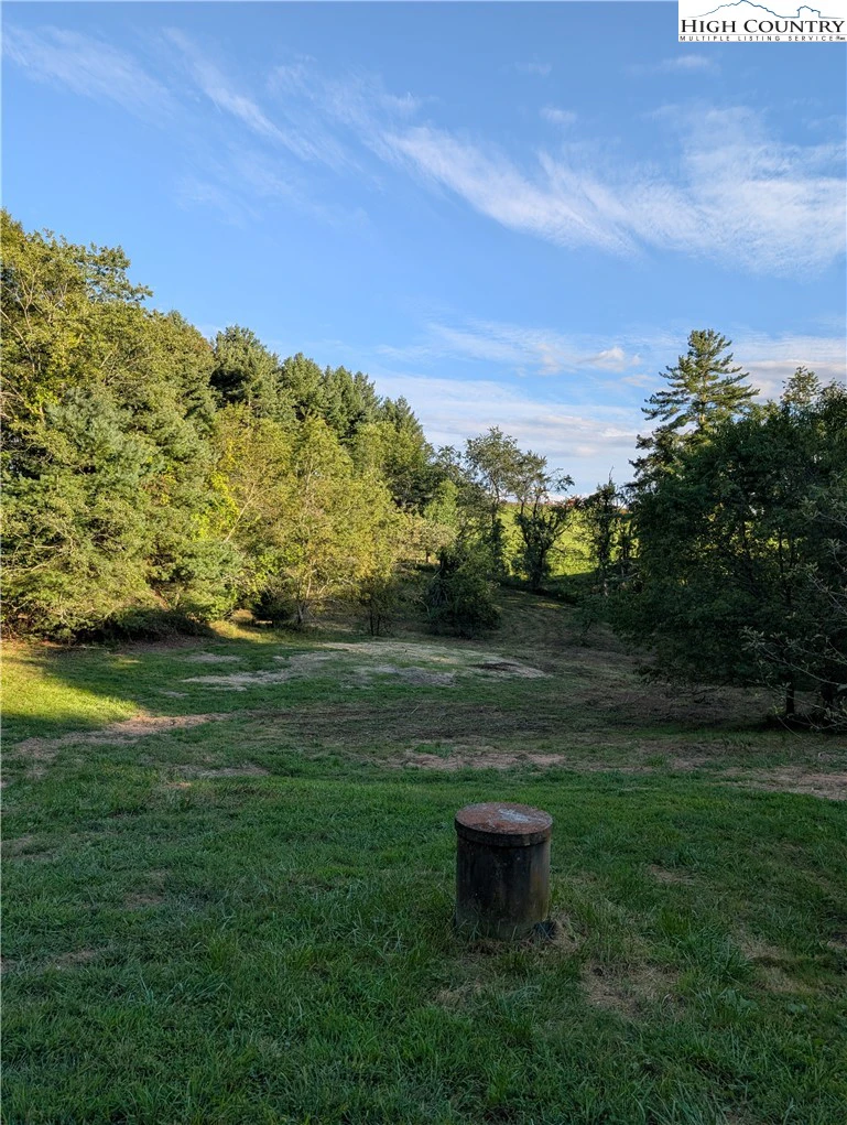 Image number 12 for the current listing