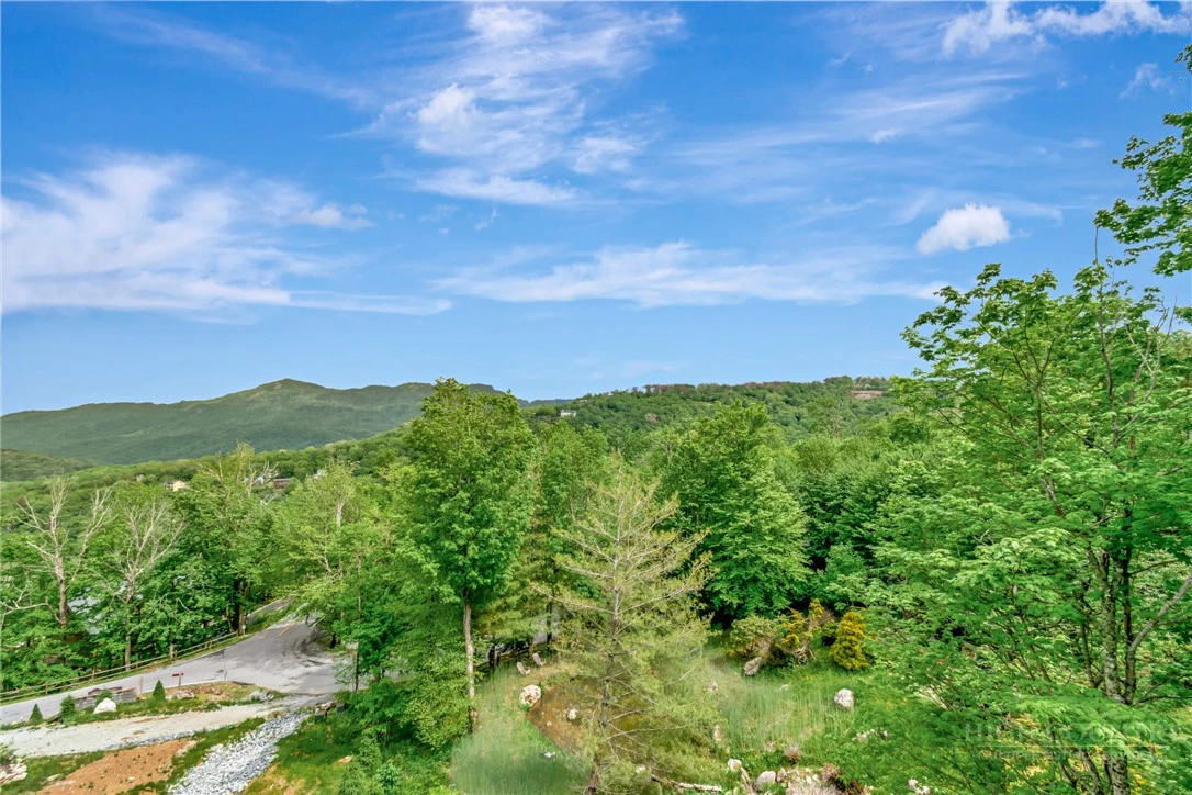Image number 4 for the current listing