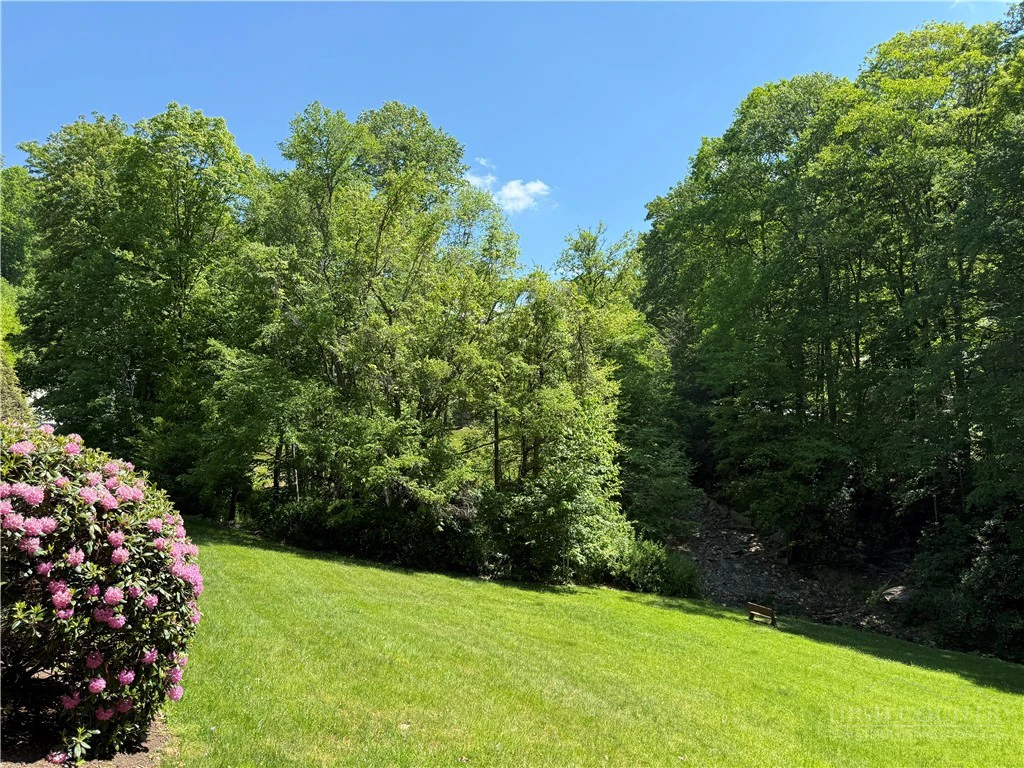 Image number 6 for the current listing