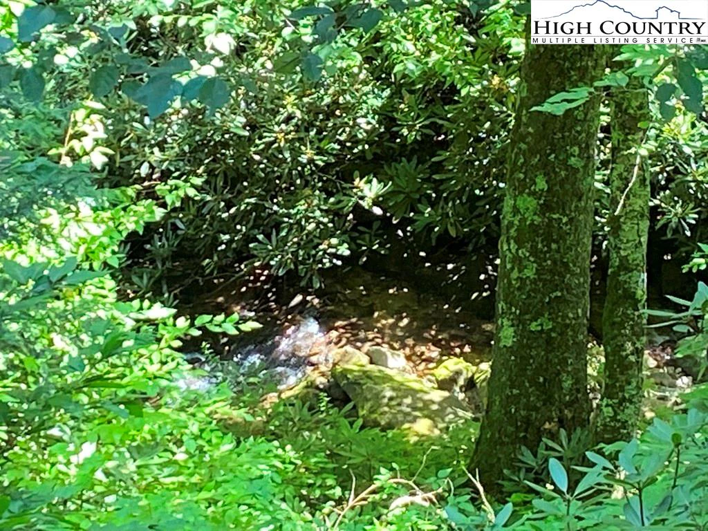 Image number 5 for the current listing