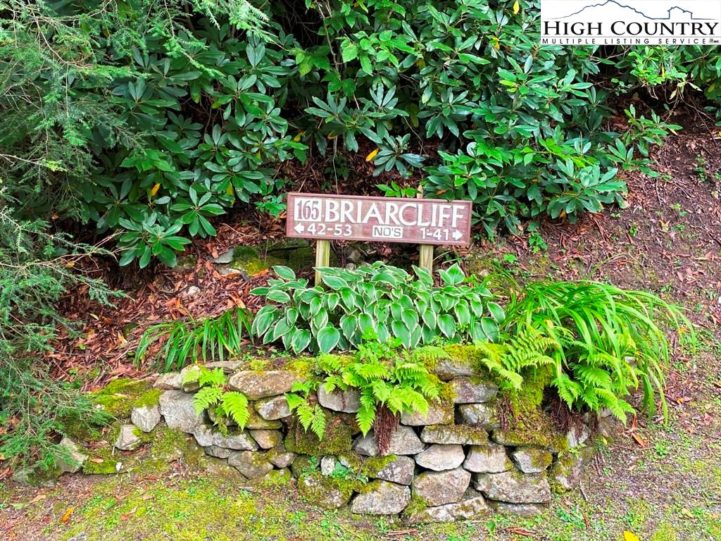 Image number 3 for the current listing