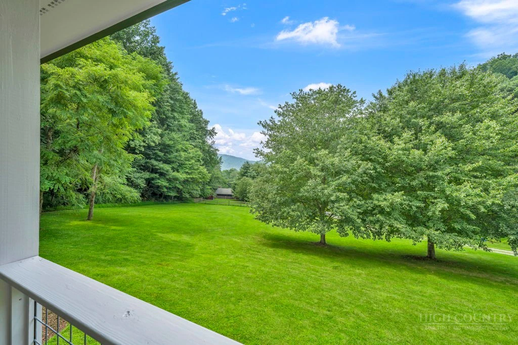 Image number 4 for the current listing