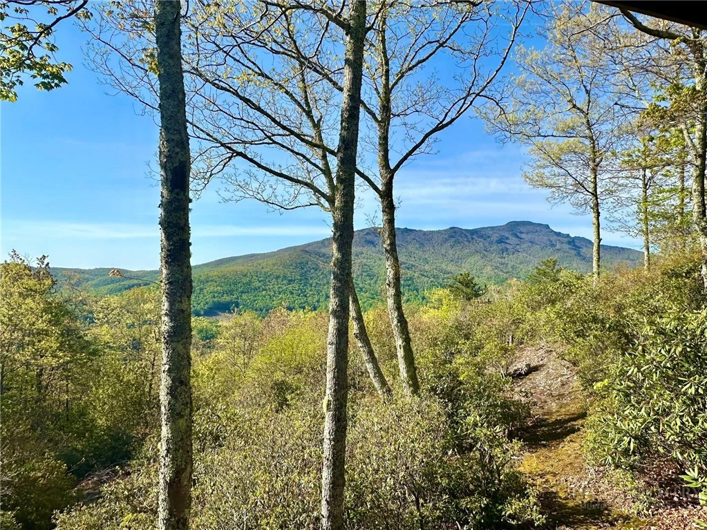 Image number 12 for the current listing