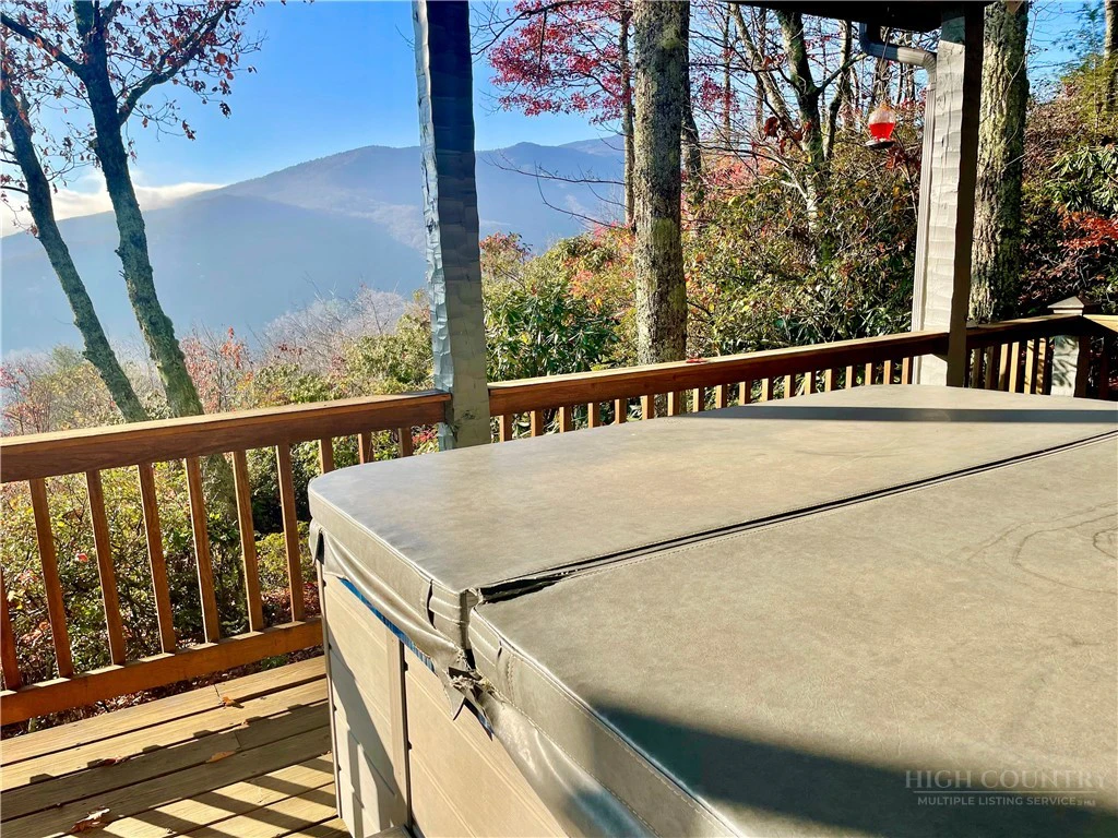 Image number 2 for the current listing