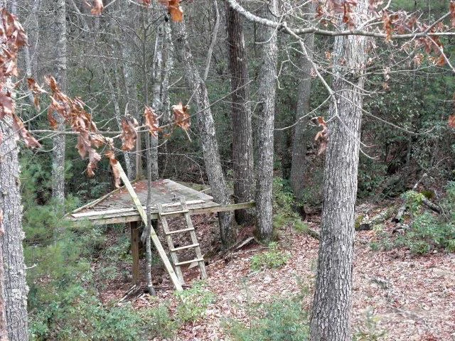 Image number 10 for the current listing