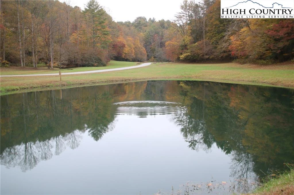 Image number 4 for the current listing