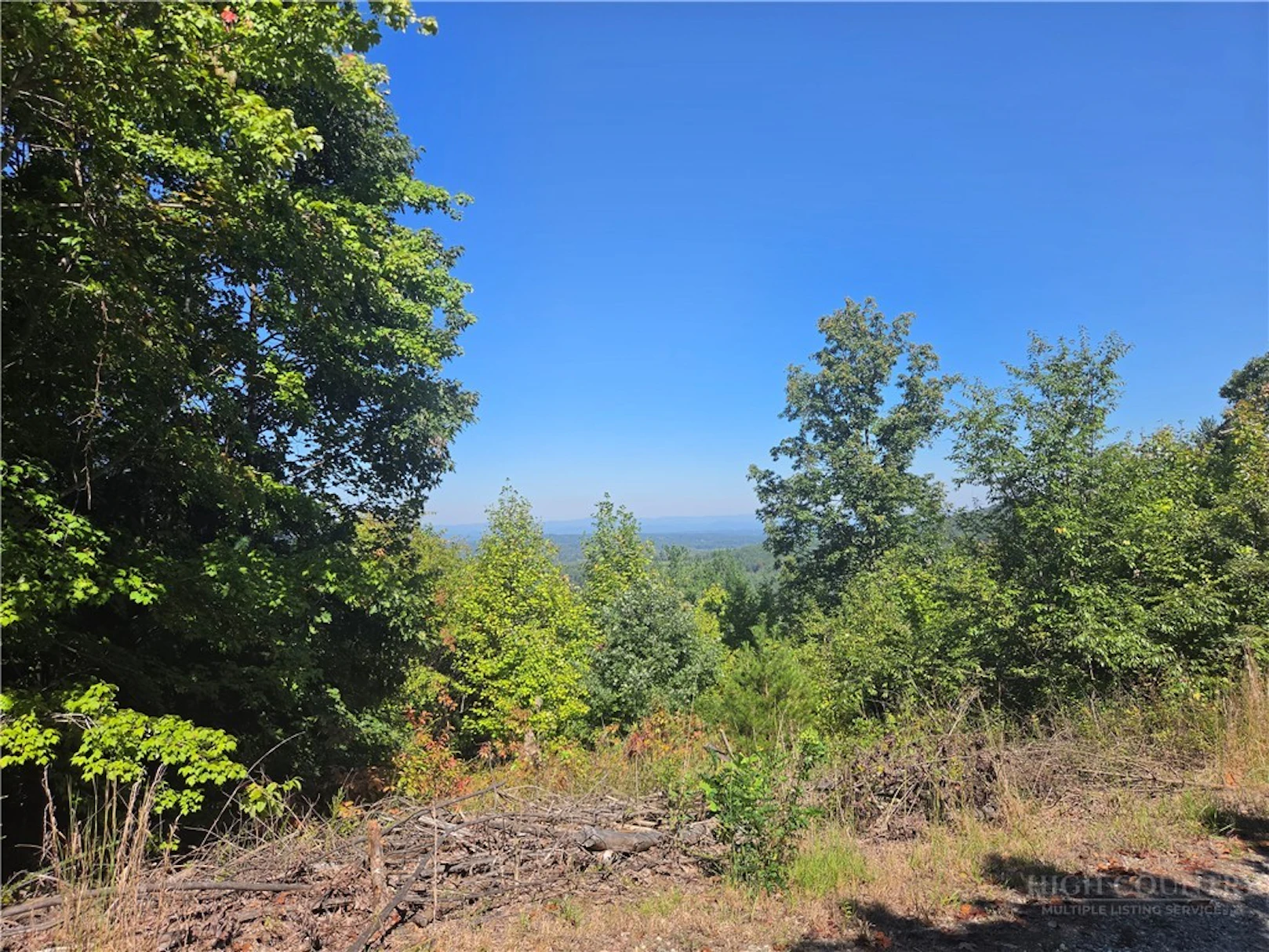 Image number 1 for the current listing