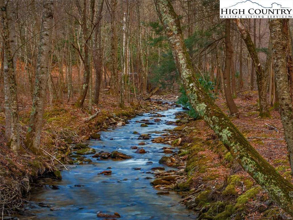 Image number 1 for the current listing