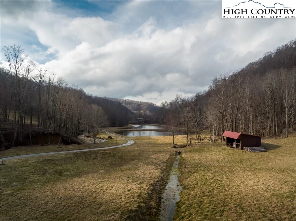 Image number 4 for the current listing