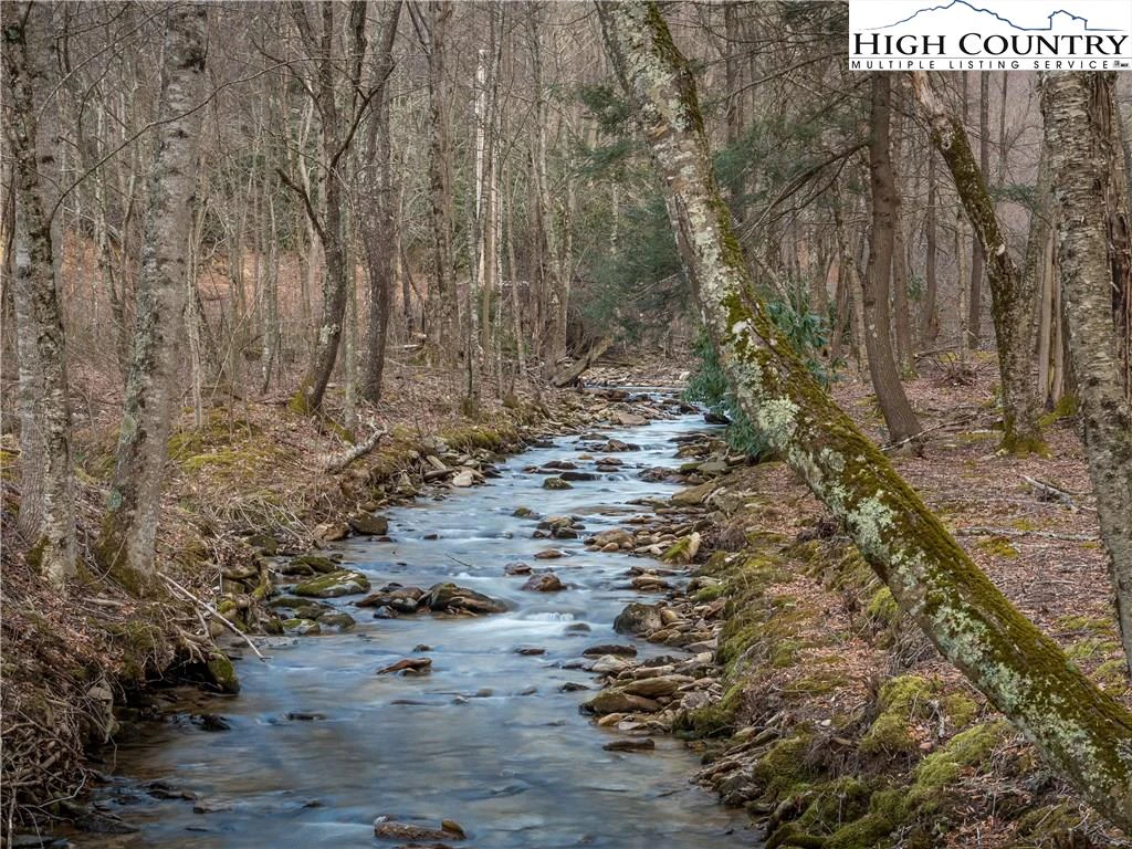 Image number 9 for the current listing