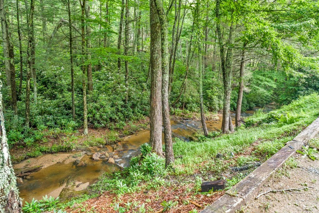 Image number 5 for the current listing