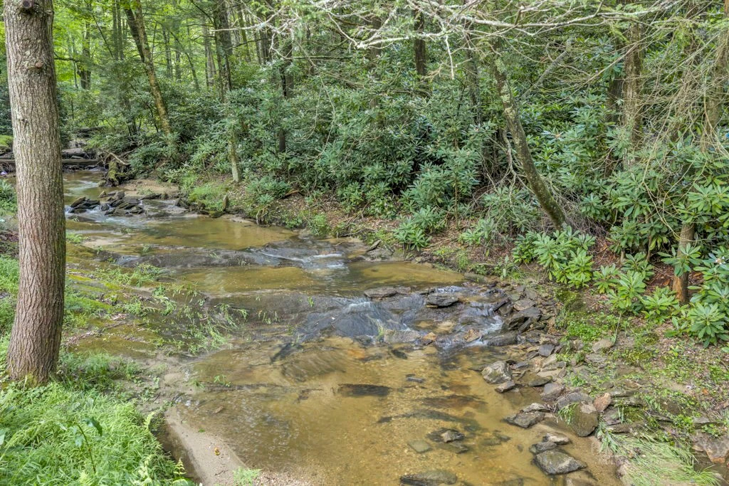 Image number 7 for the current listing