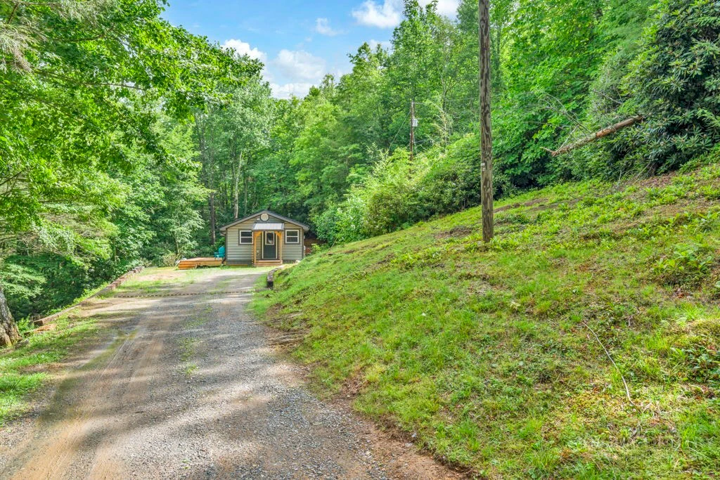 Image number 11 for the current listing