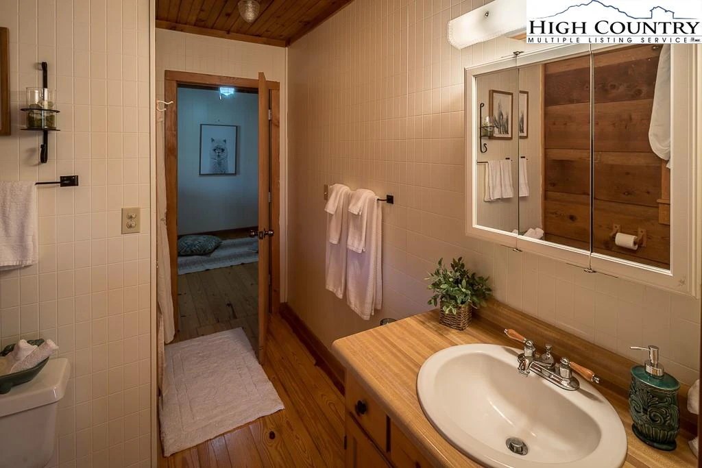 Image number 2 for the current listing