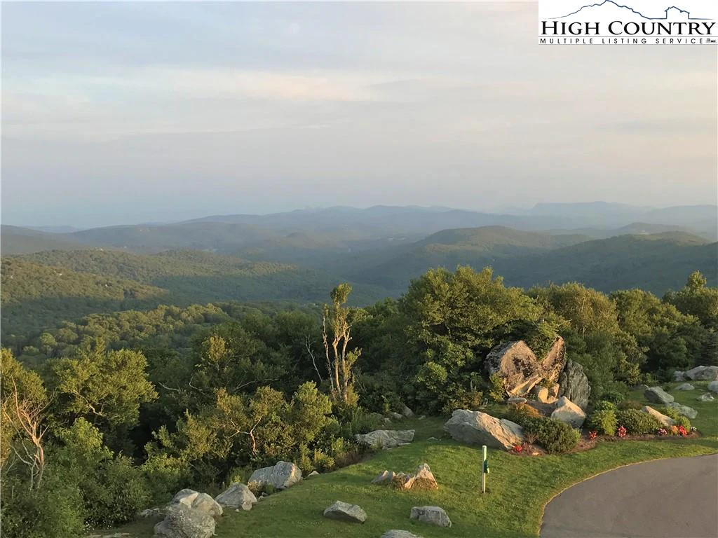 Image number 2 for the current listing