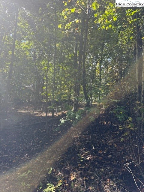 Image number 1 for the current listing
