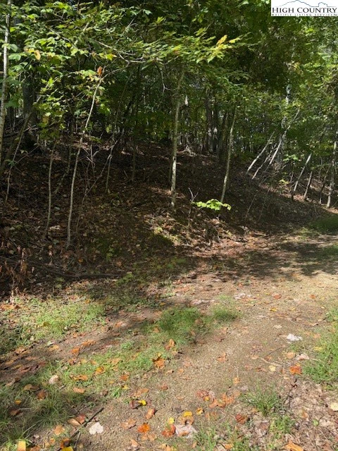 Image number 3 for the current listing