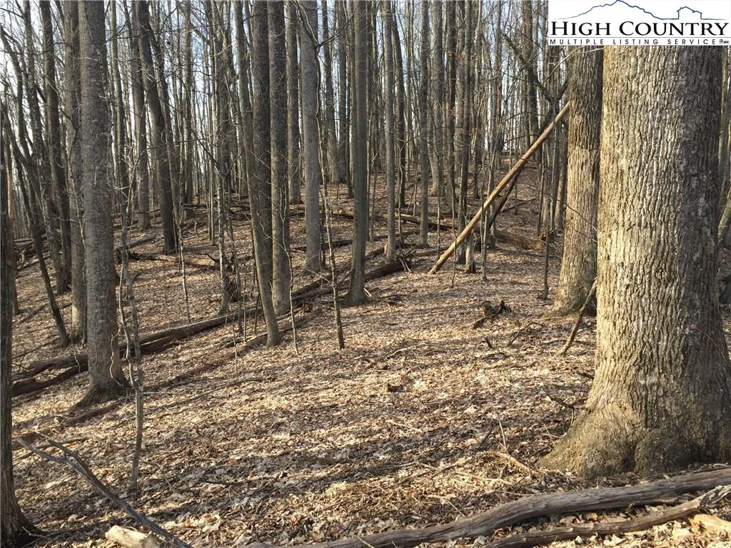 Image number 4 for the current listing