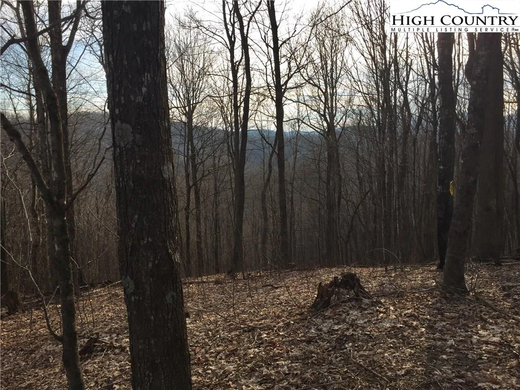 Image number 11 for the current listing