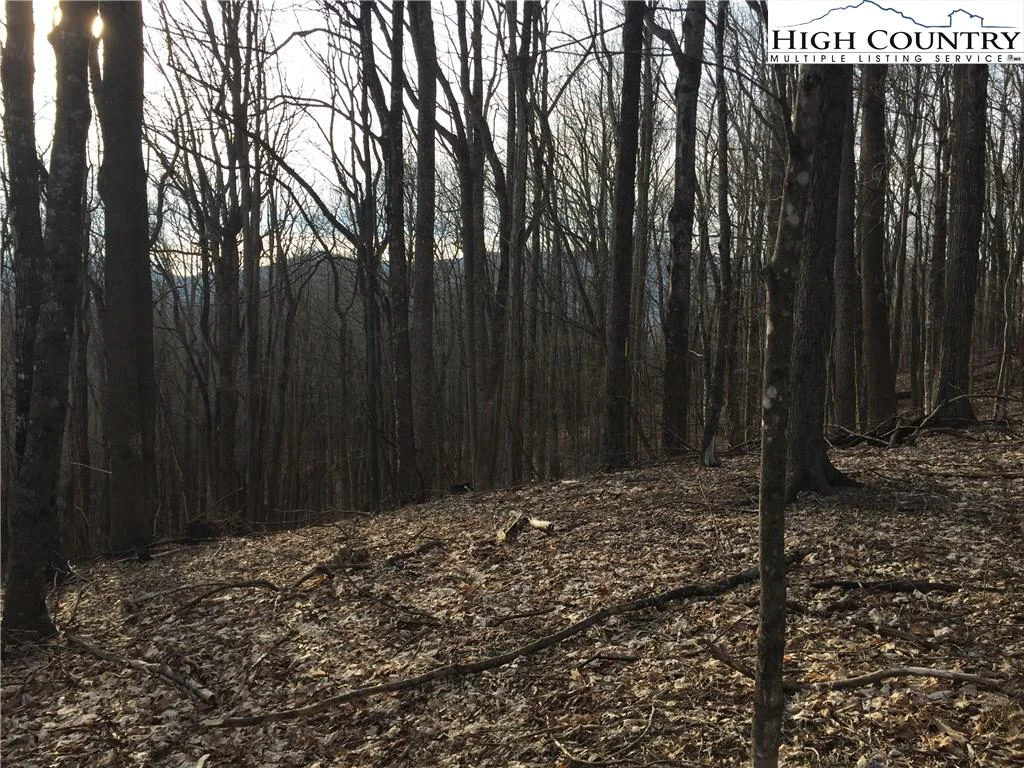 Image number 2 for the current listing