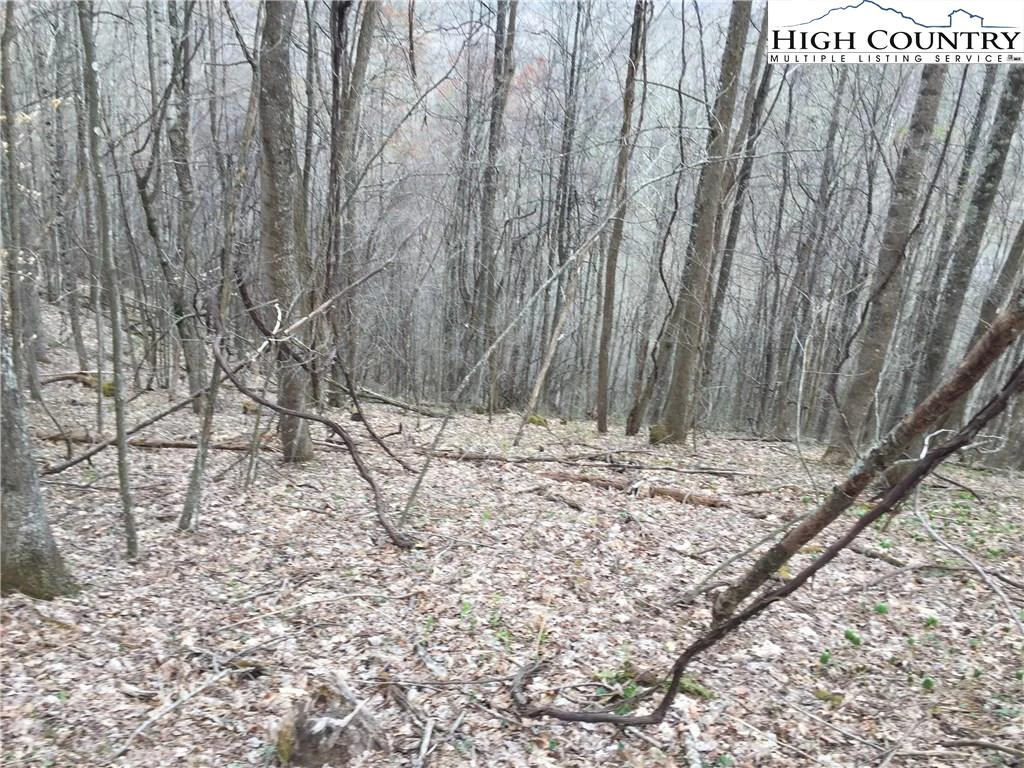 Image number 18 for the current listing