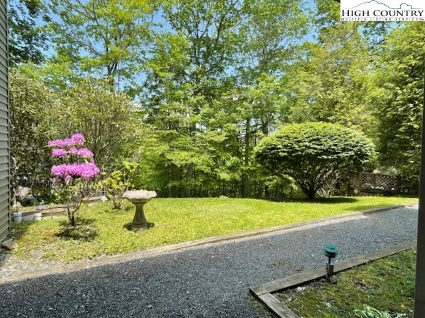 Image number 11 for the current listing