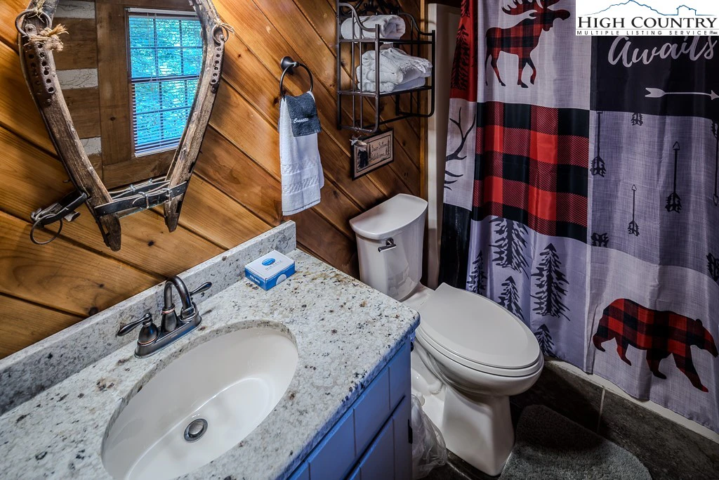 Image number 9 for the current listing