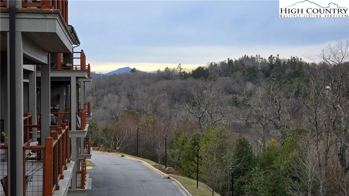 Image number 2 for the current listing