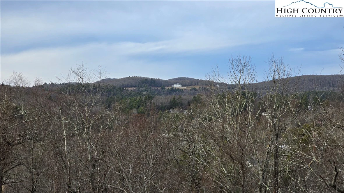 Image number 16 for the current listing