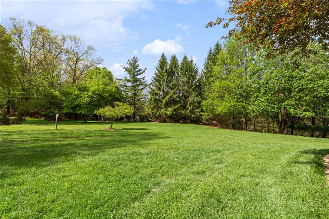 Image number 21 for the current listing