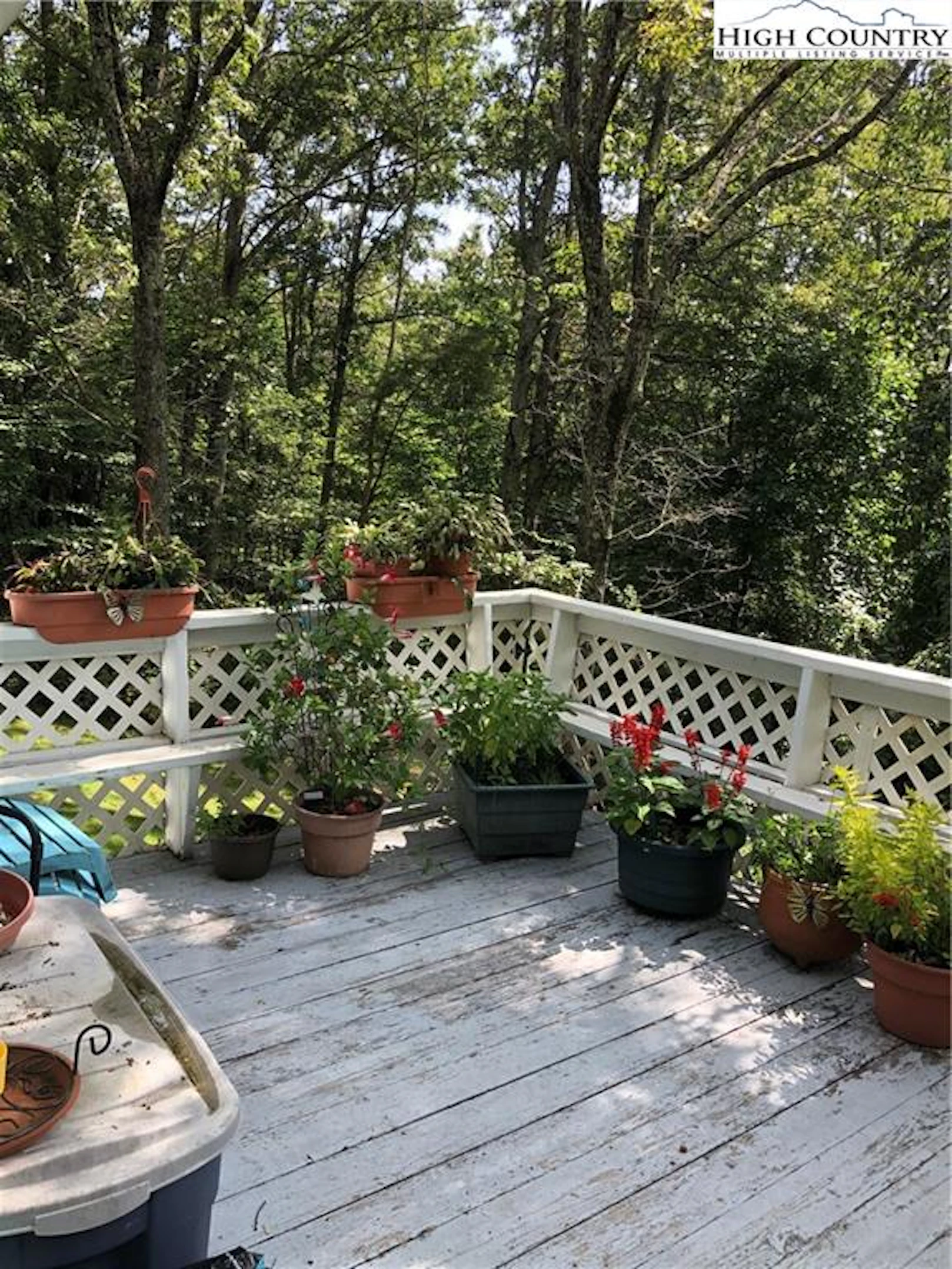 Image number 7 for the current listing