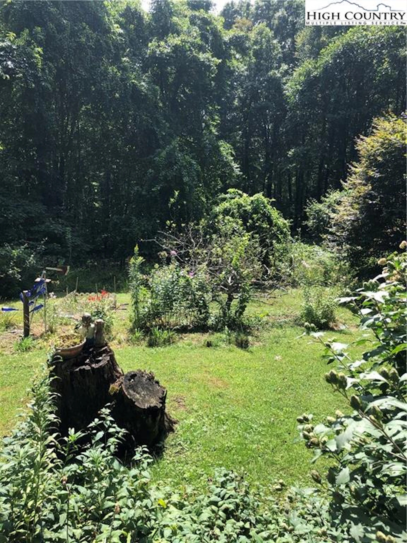 Image number 3 for the current listing