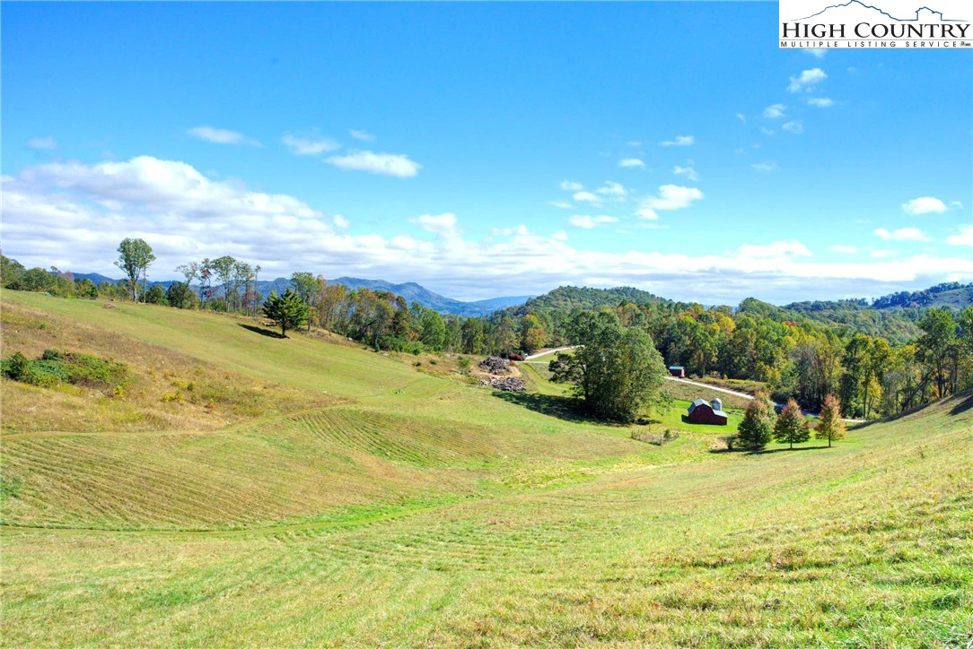 Image number 5 for the current listing