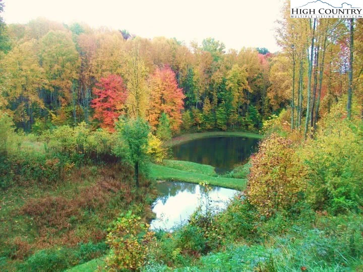 Image number 7 for the current listing