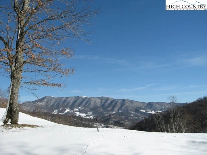 Image number 9 for the current listing