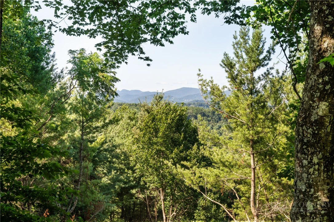 Image number 15 for the current listing