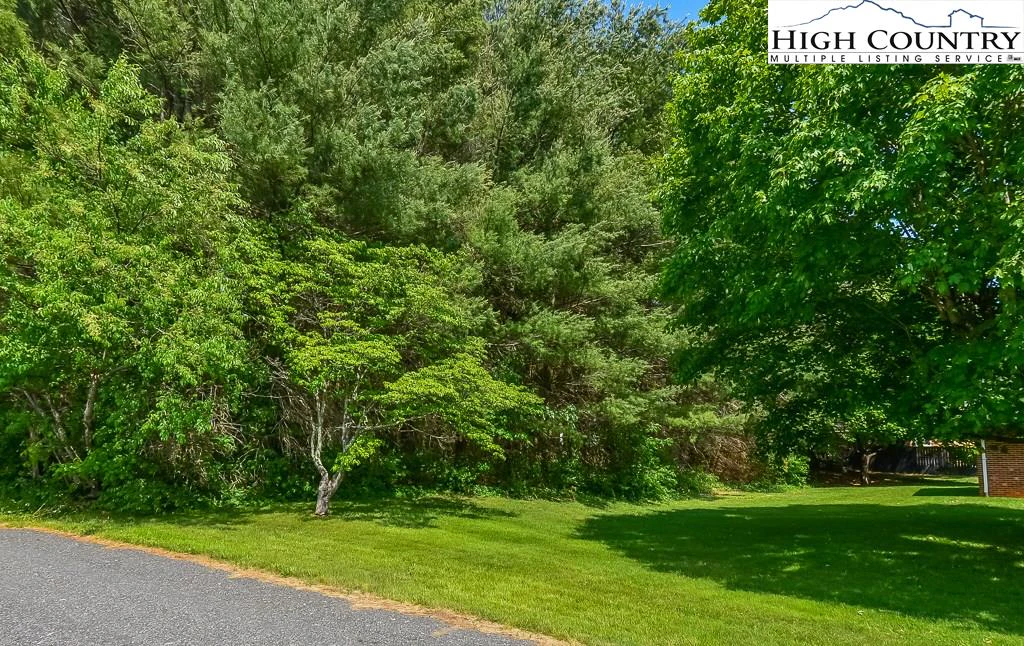 Image number 4 for the current listing